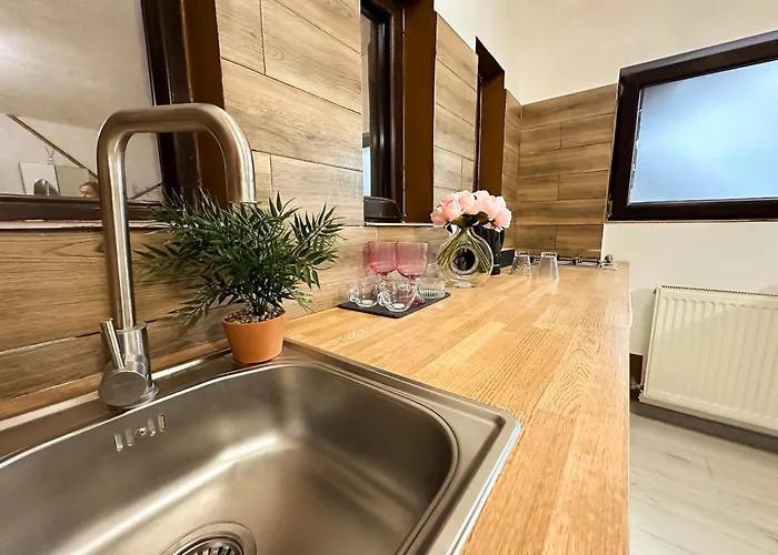 Pluto Lux Apartament *